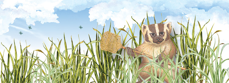 natural and organic bug repellents by Badger